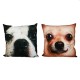 Coussin Chiens et Chats