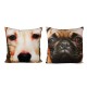 Coussin Chiens et Chats