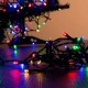 Lumières de Noël Multicouleur (48 LED)