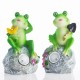 Grenouille Solaire Décorative Oh My Home