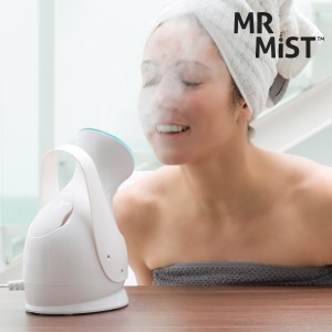 Nettoyant Facial Sauna Mr Mist Ionic Steamer