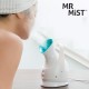 Nettoyant Facial Sauna Mr Mist Ionic Steamer