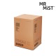 Nettoyant Facial Sauna Mr Mist Ionic Steamer