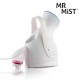 Nettoyant Facial Sauna Mr Mist Ionic Steamer